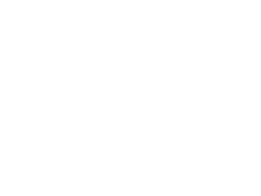 Neo Global Logistics Logo